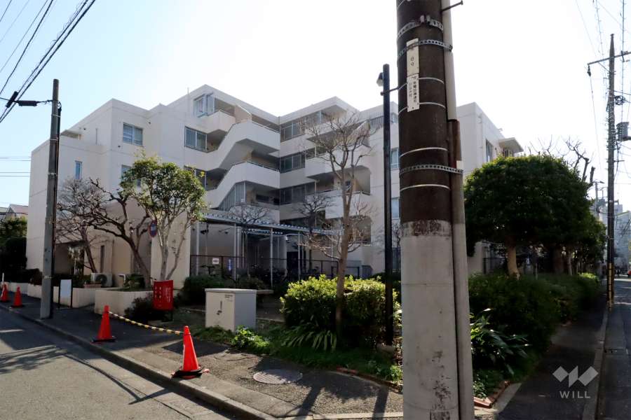 藤和旗の台コープの外観(北側から)