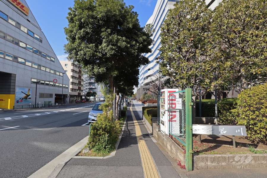 敷地西側の前面道路