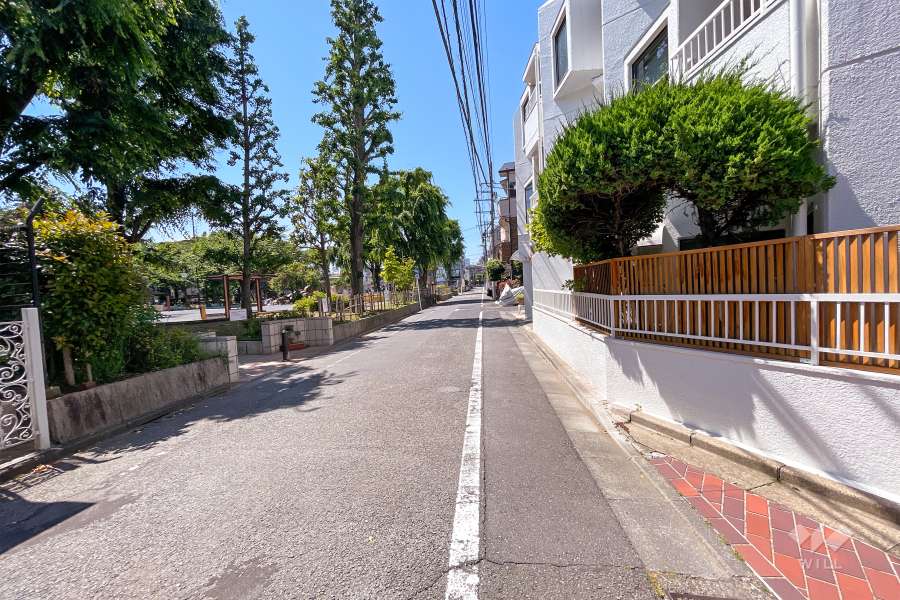 敷地西側の前面道路（南側から）