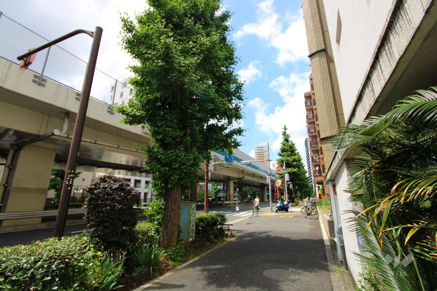 敷地西側の前面道路（南側から）