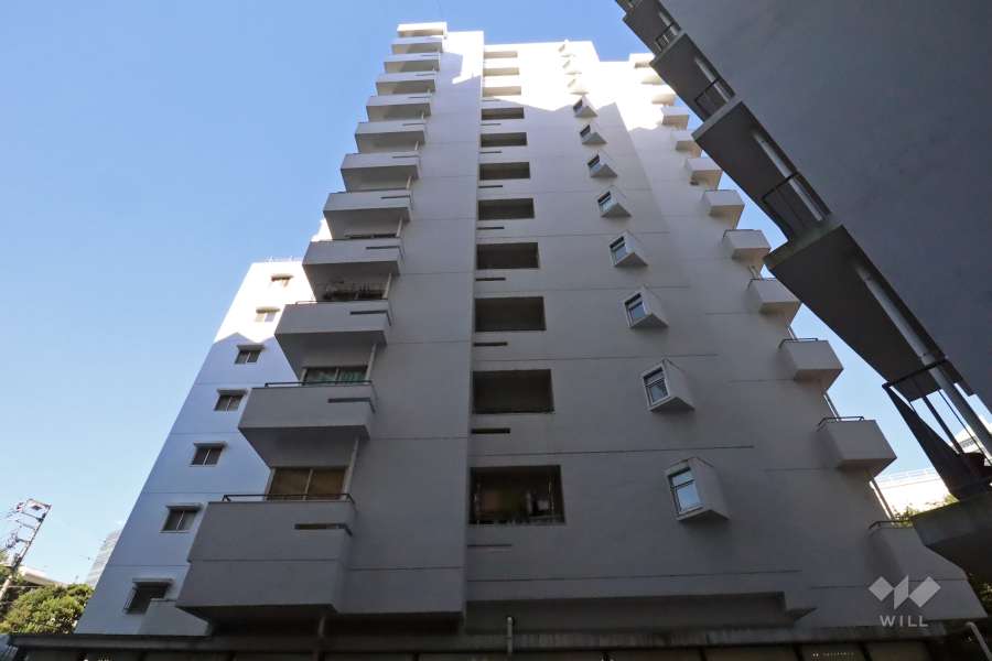 マンション雅叙苑2号棟の外観(北西側)