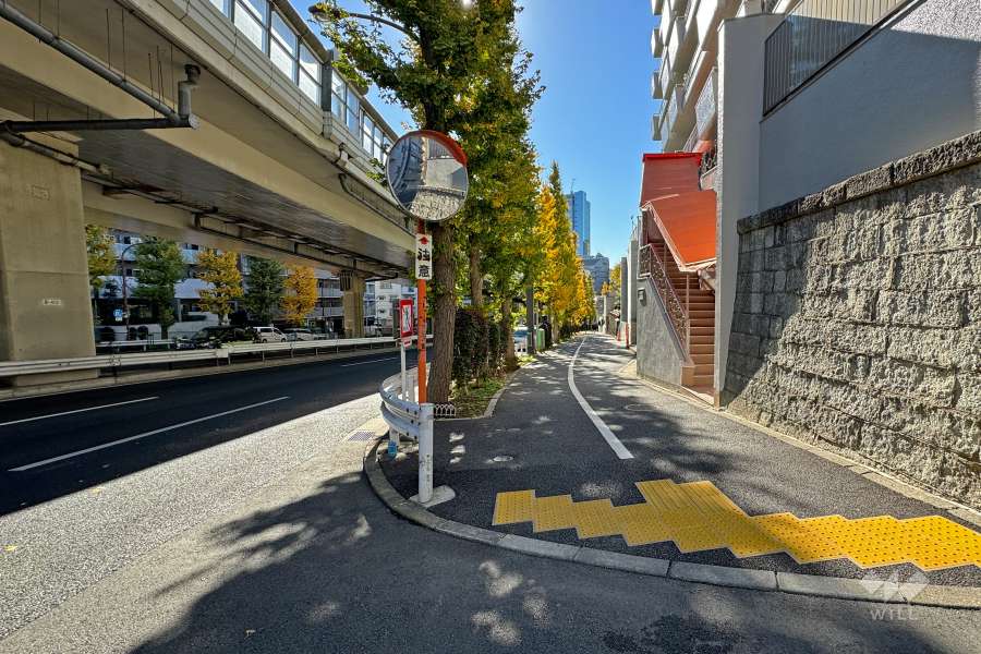 敷地東側の前面道路（北側から）