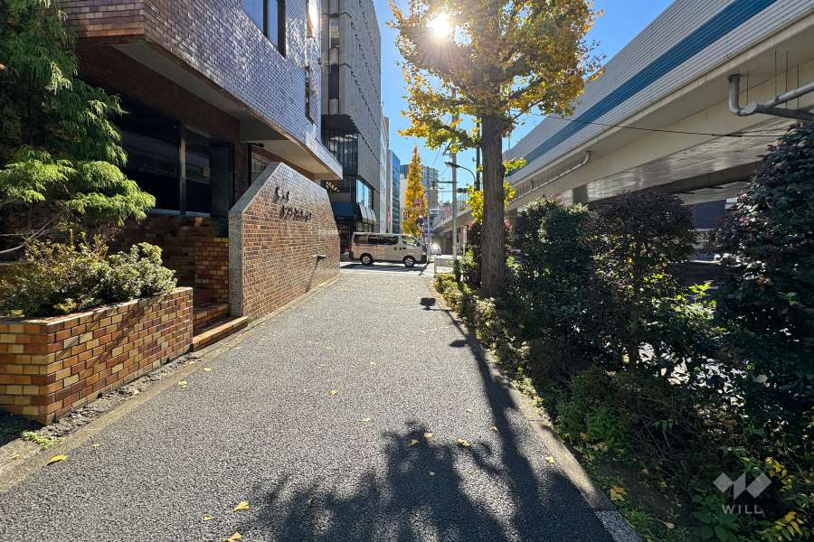 敷地西側の前面道路
