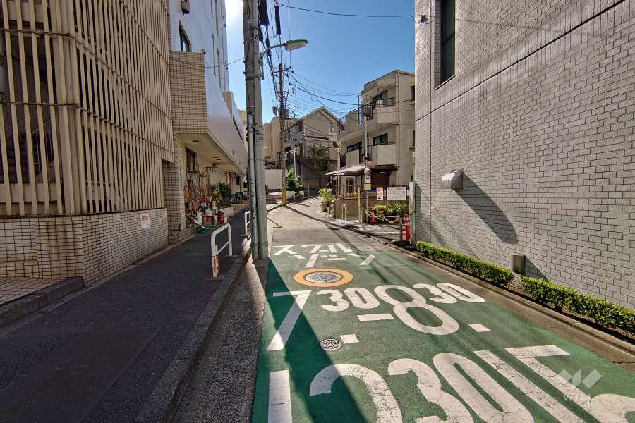 敷地東側の前面道路（北側から）