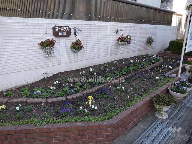 敷地入口に設けられた花壇