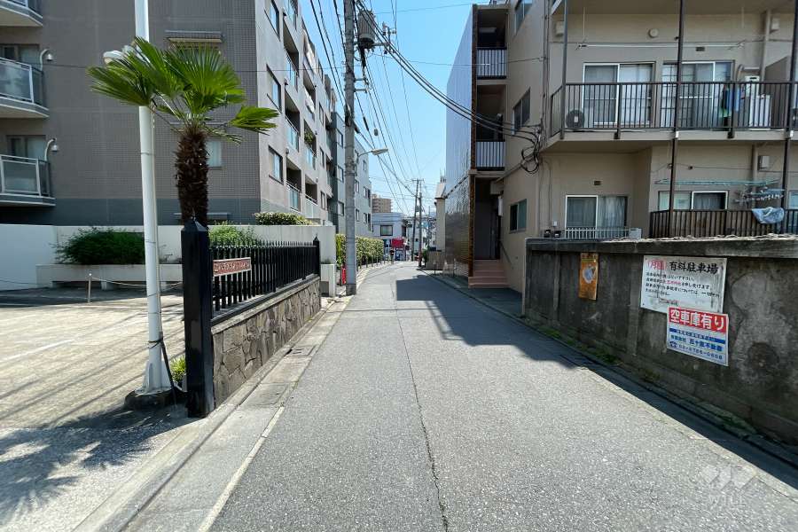 敷地南側の前面道路（西側から）