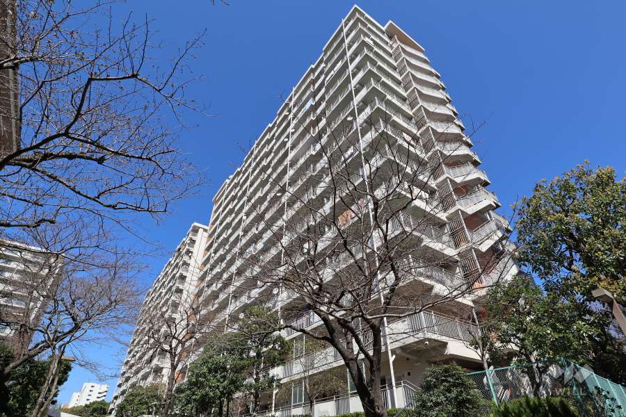 潮路東ハイツ５４号棟の外観（北西側から）