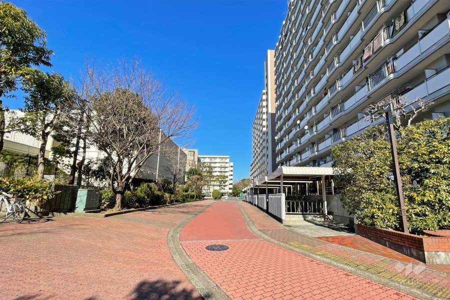 敷地西側の前面道路