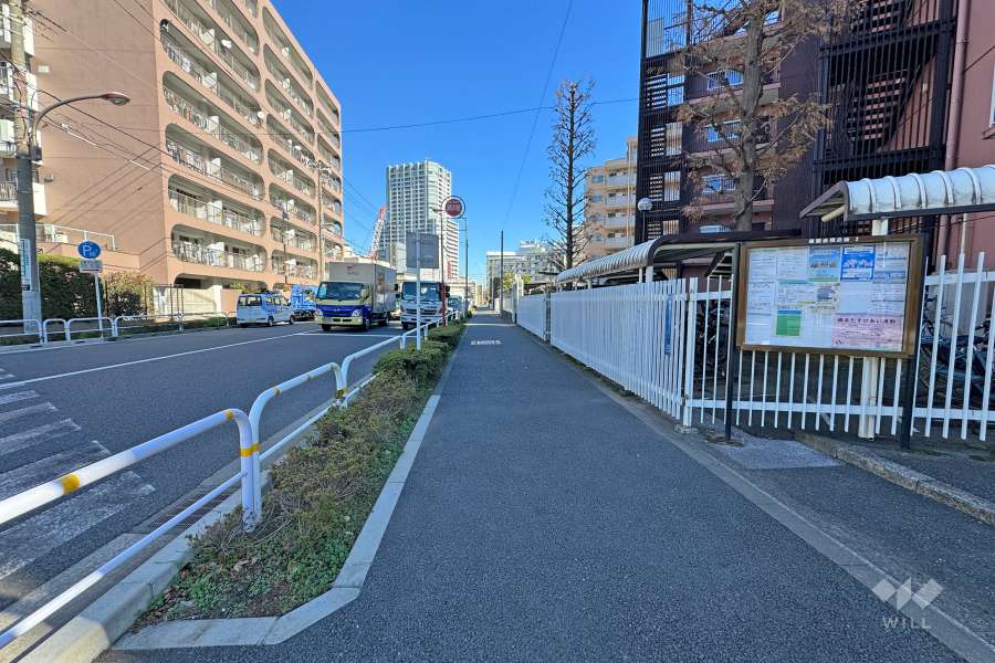 敷地の北側前面道路（西側から）