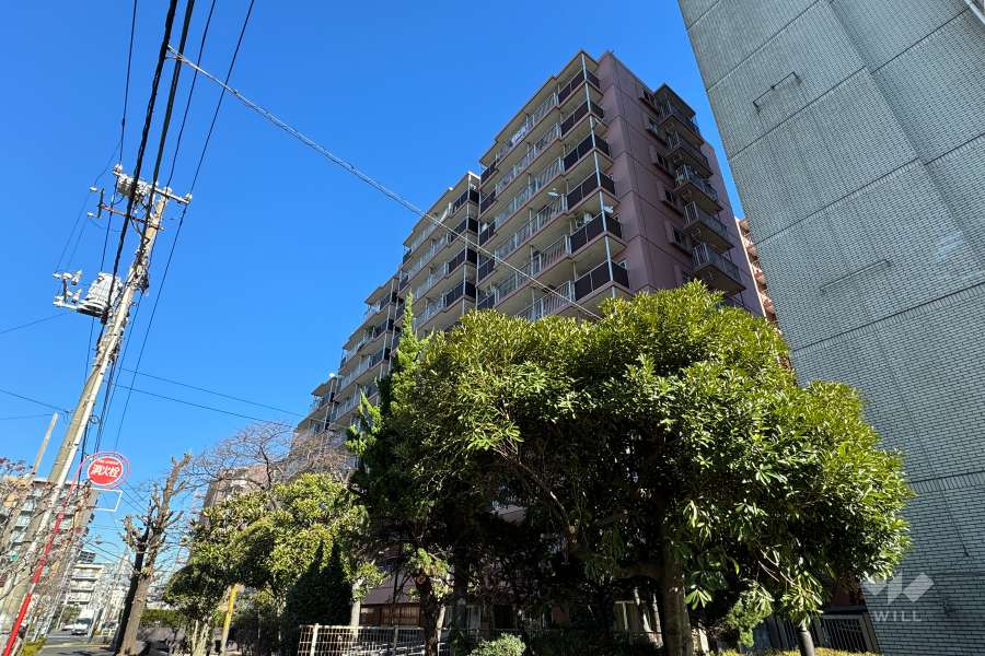 ライオンズマンション東品川の外観（南西側から）