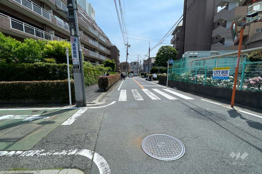 敷地北東側の前面道路（北西側から）
