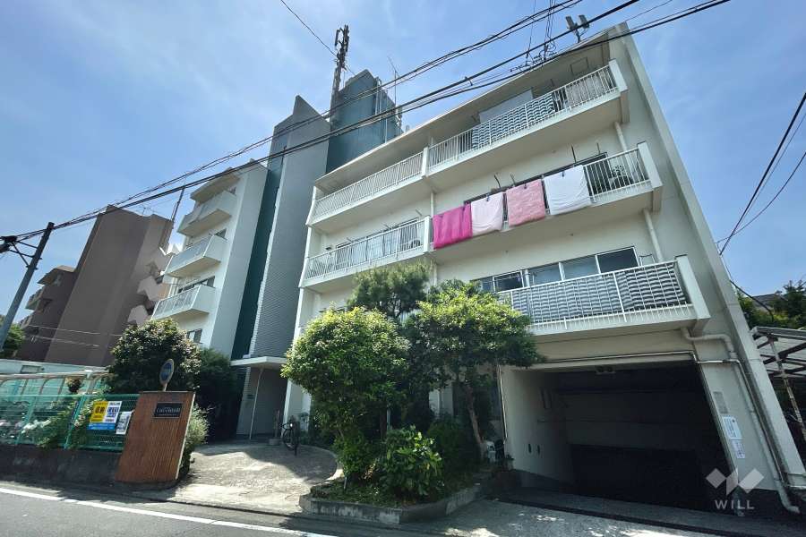テラスグリーンヒルの外観（北側から）