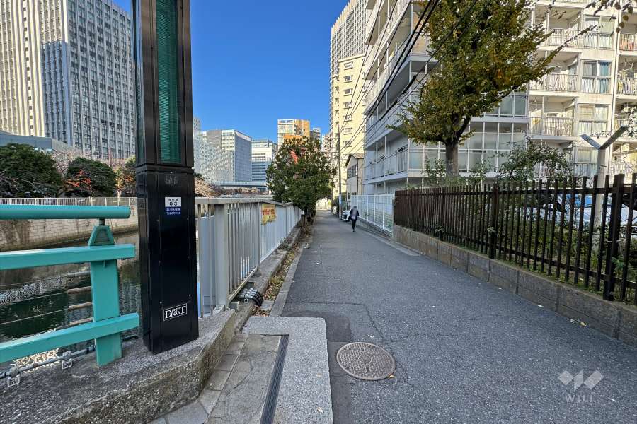 敷地南西側の前面道路（南東側から）