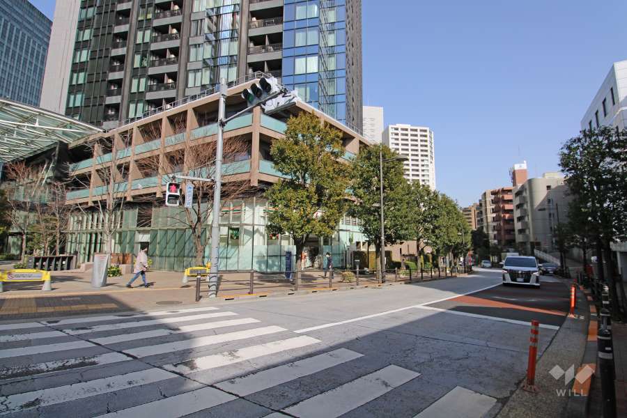 敷地南側の前面道路