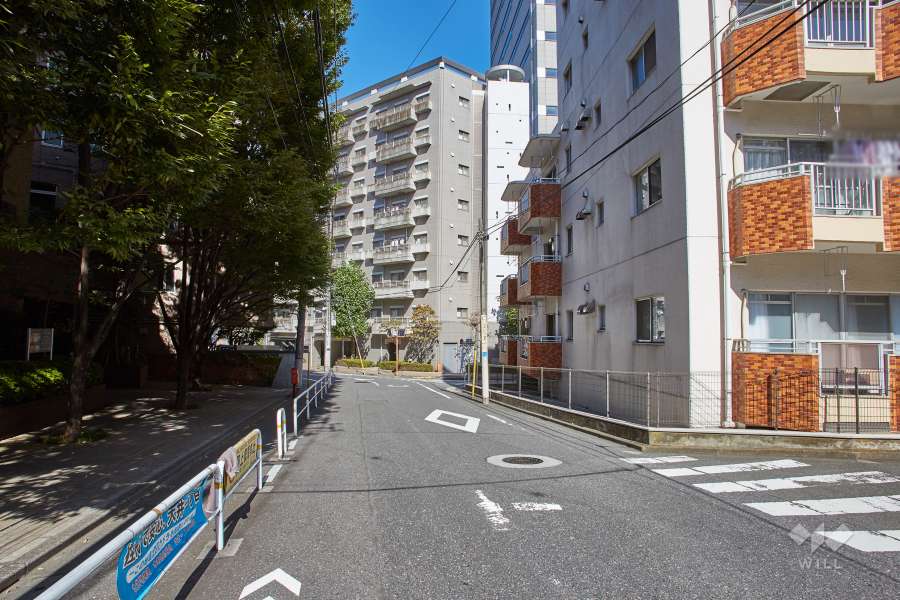 敷地西側の前面道路
