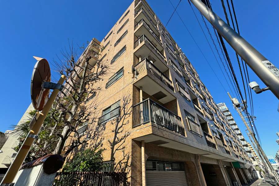 エクセル南品川の外観（南東側から）