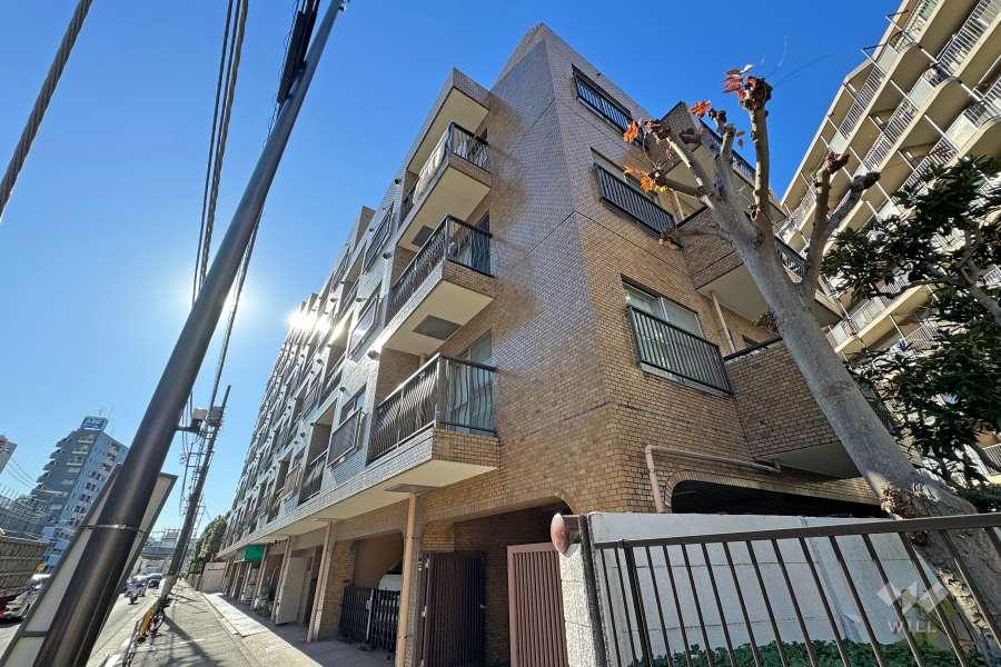 エクセル南品川の外観（北東側から）