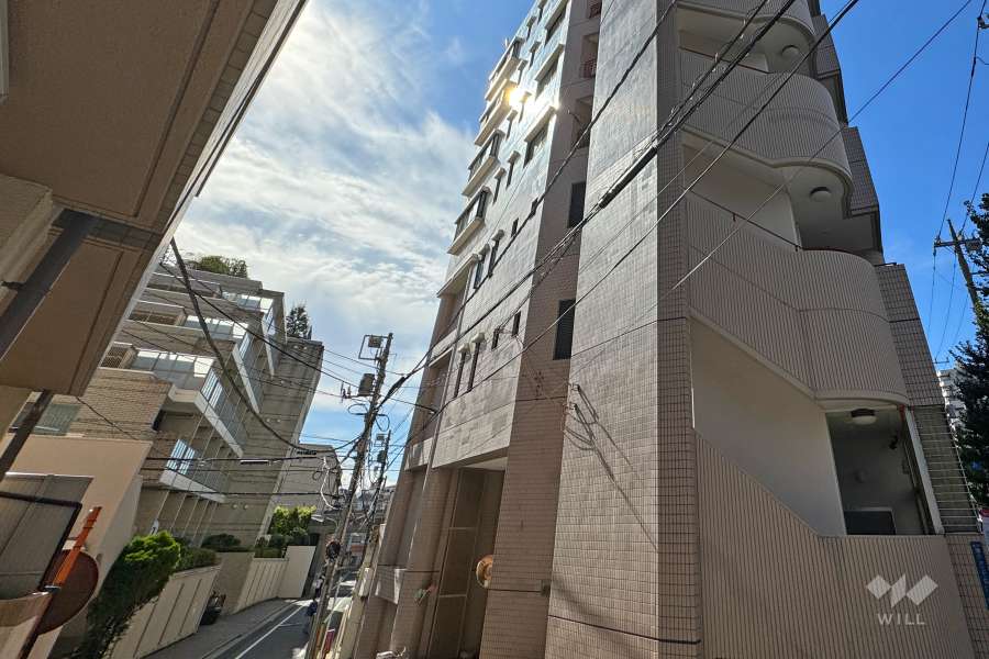 敷地東側の前面道路　