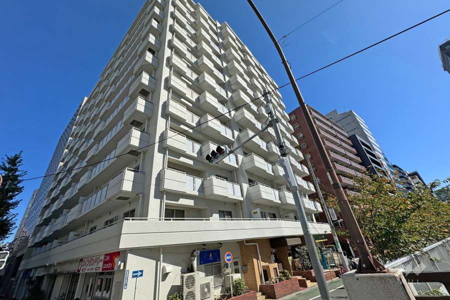 五反田リーラーハイタウンの外観（南西側から）