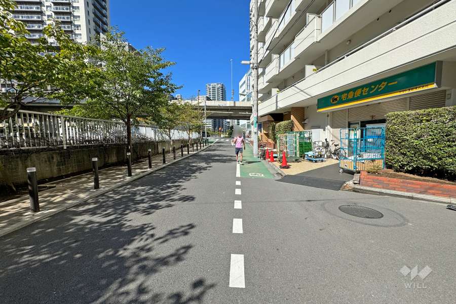 敷地南側の前面道路（東側から）