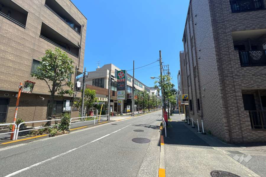 敷地北側の前面道路（西側から）