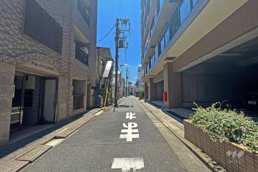 敷地東側の前面道路（北側から）
