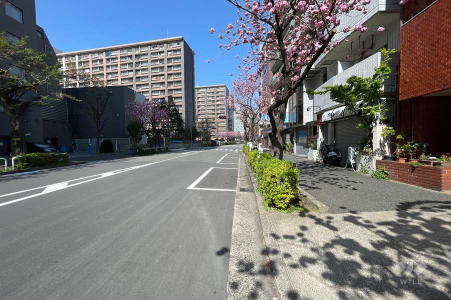 敷地南側の前面道路