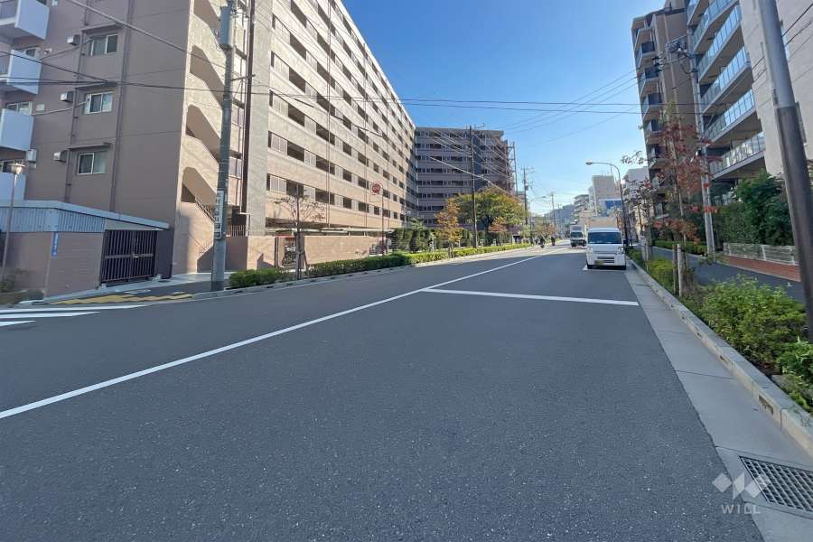 敷地東側の前面道路（北側から）