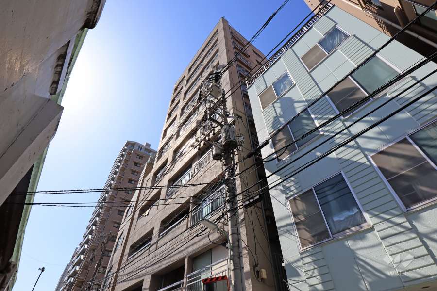サンライフ池田山の外観（東側から）