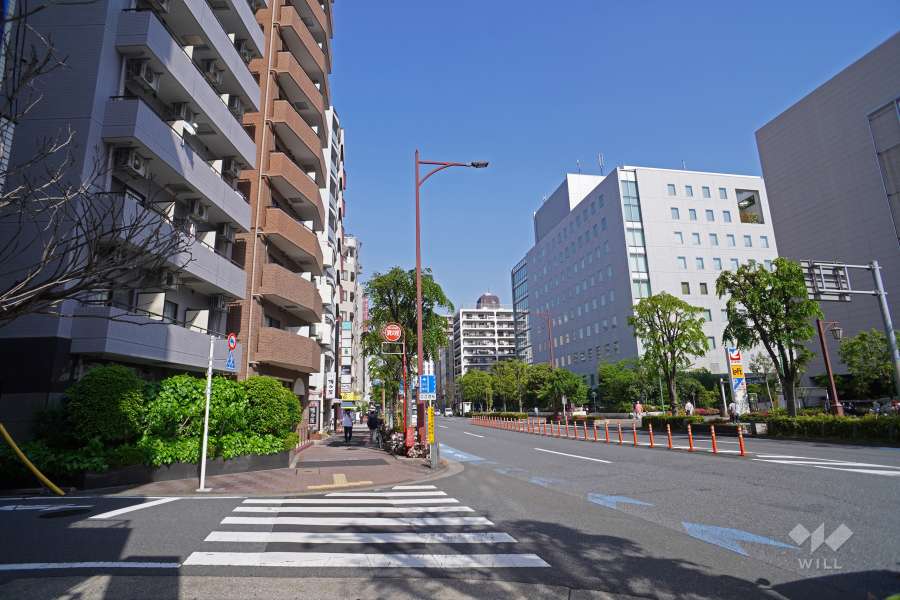 敷地南側の前面道路（西側から）