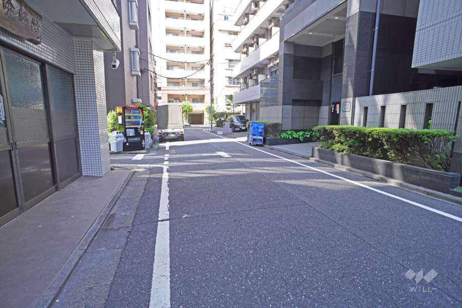 敷地東側の前面道路（南側から）