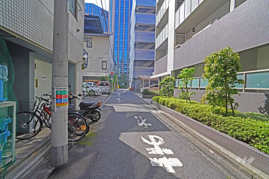 敷地北側の前面道路（東側から）