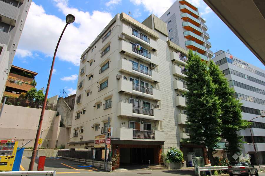 池田山スカイマンションの外観（北西側から）