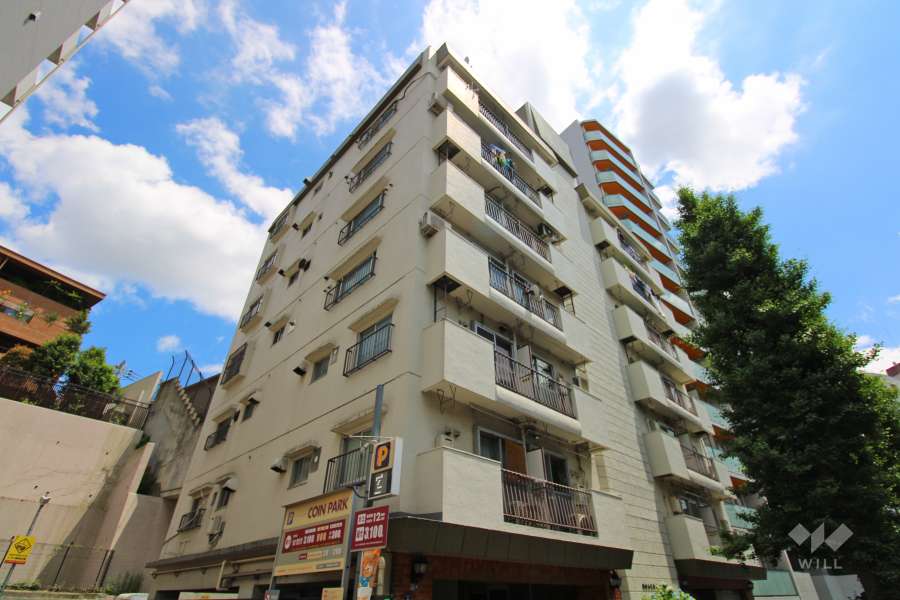 池田山スカイマンションの外観（北西側から）