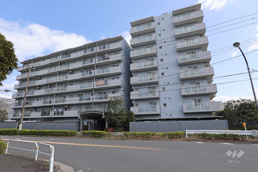 アイビハイツ南品川の外観(南西側から)