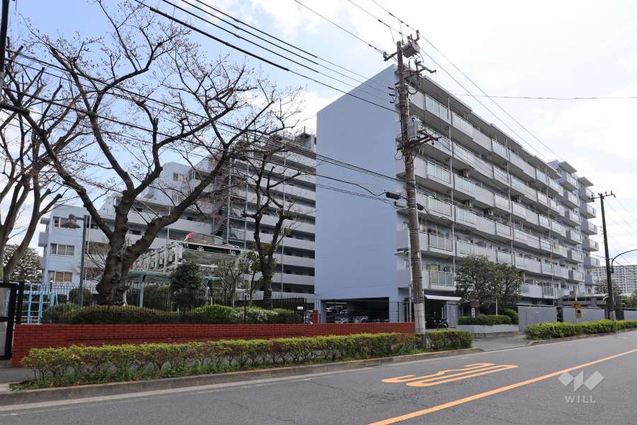 アイビハイツ南品川の外観(北西側から)
