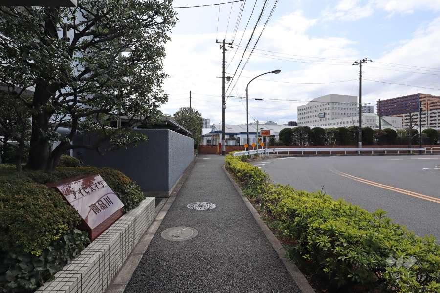 敷地西側の前面道路