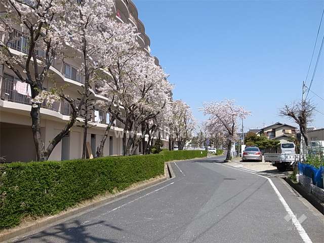 B棟の南側の前面道路
