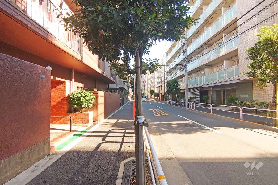 敷地の南西側前面道路（北西側から）