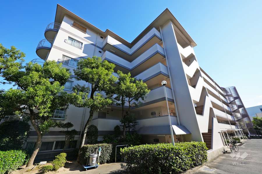 コスモハイツ瑞ヶ丘C棟の外観（北側から）