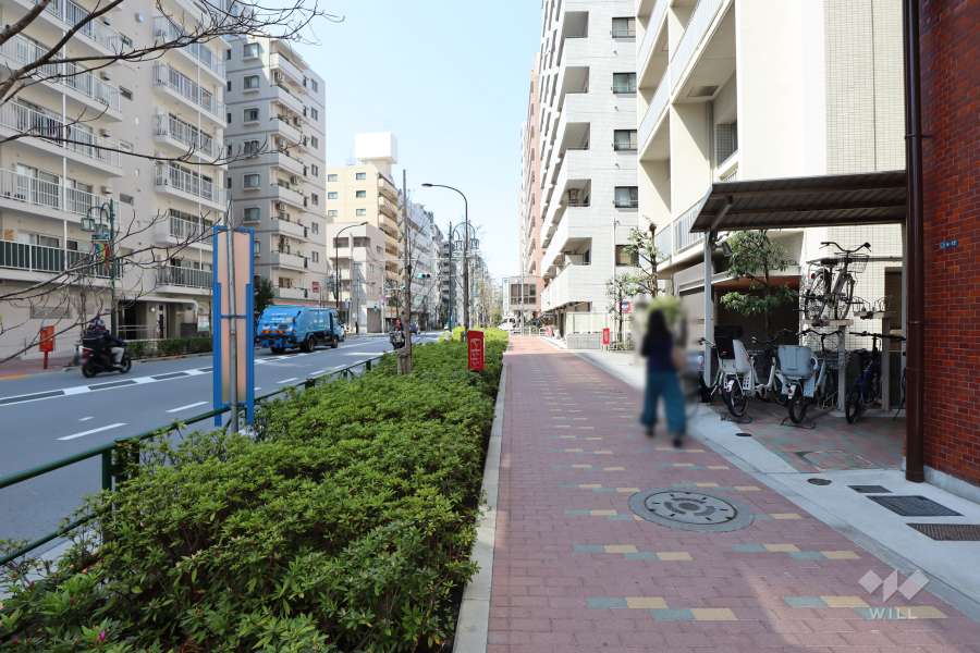 敷地南西側の前面道路