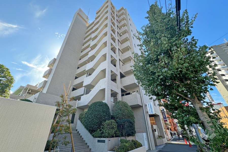 コープ野村旗の台の外観（北東側から）