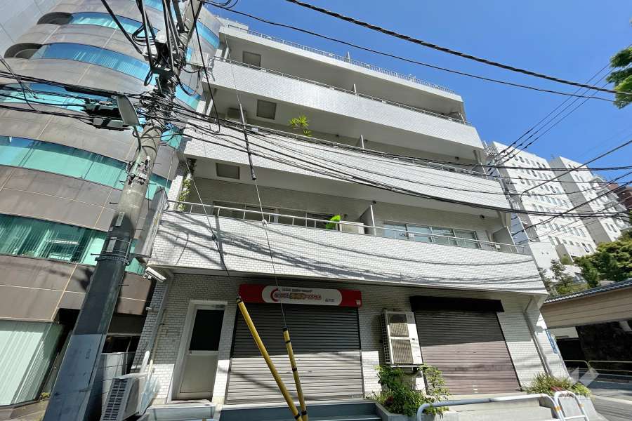 ダイアパレス五反田の外観（南側から）