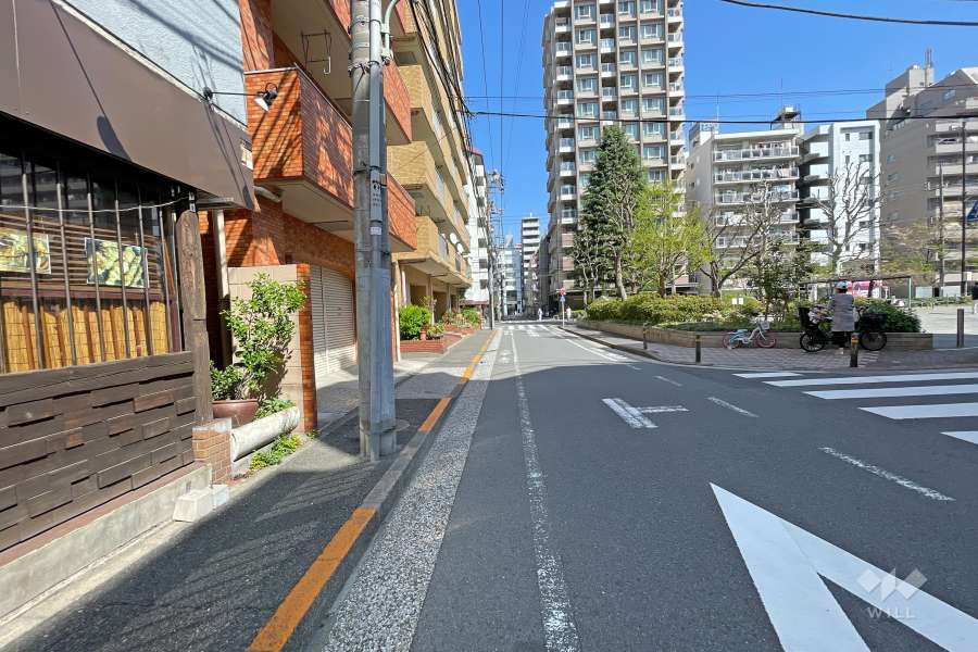 敷地南側の前面道路（西側から）
