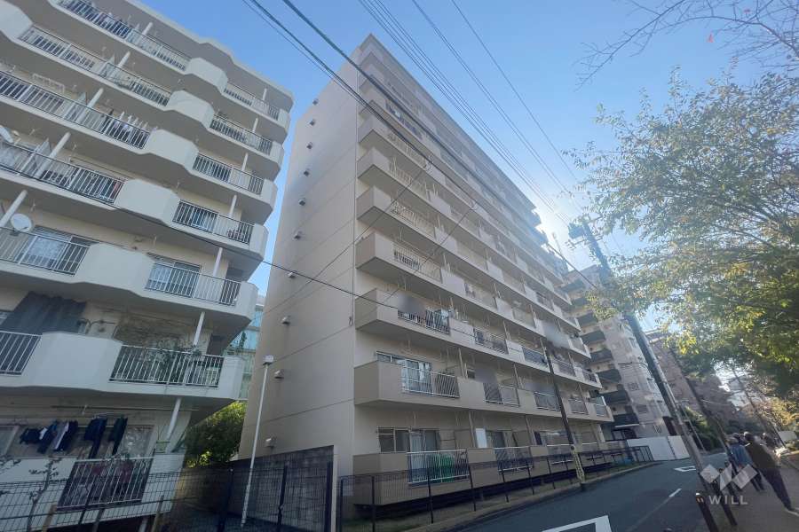 ドミール東品川の外観(北西側から)