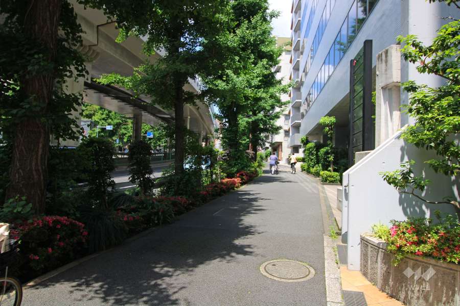 敷地西側の前面道路（南側から）