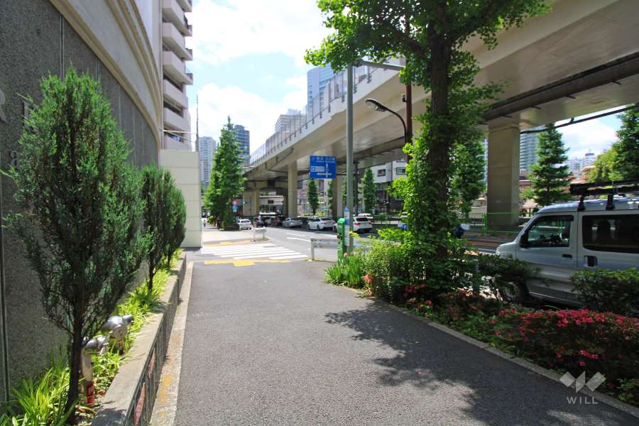 敷地西側の前面道路（北側から）