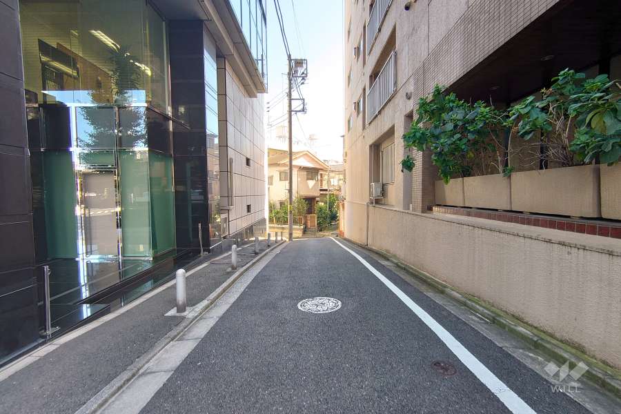 敷地北側の前面道路（西側から）