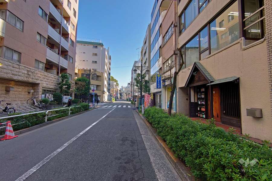 敷地北側の前面道路（西側から）