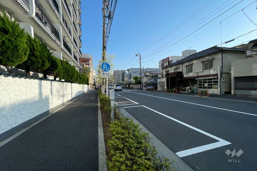敷地西側の前面道路（北側から）